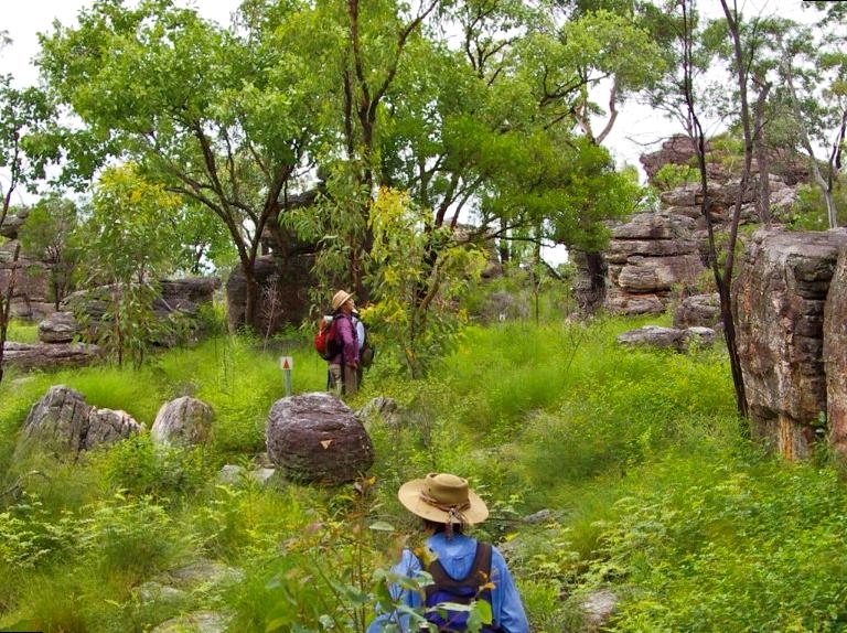 gamingmousetech | Hike the Barrk Sandstone Walk: Hiking Adventures in Kakadu