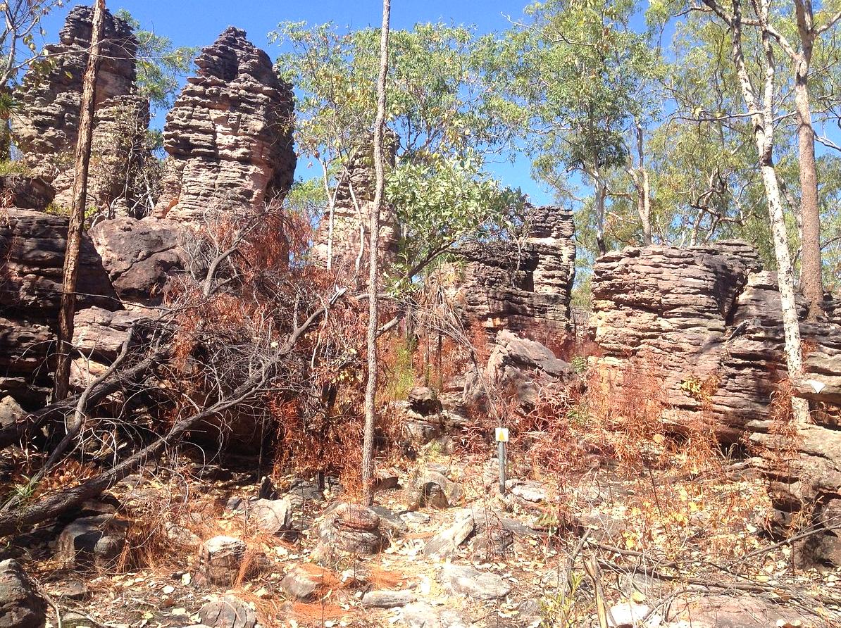 gamingmousetech | Hike the Barrk Sandstone Walk: Hiking Adventures in Kakadu